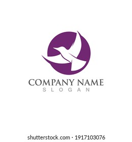 Seagull bird logo vector image template design