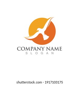 Seagull bird logo vector image template design