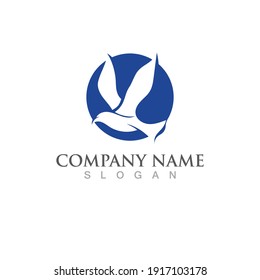 Seagull bird logo vector image template design