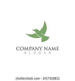 Seagull bird logo vector image template design