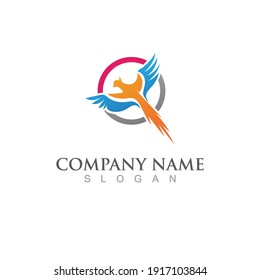 Seagull bird logo vector image template design