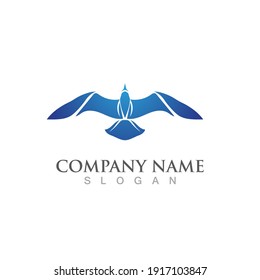 Seagull bird logo vector image template design