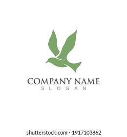 Seagull bird logo vector image template design