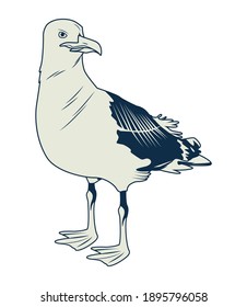 seagull bird nautical gray element icon vector illustration design