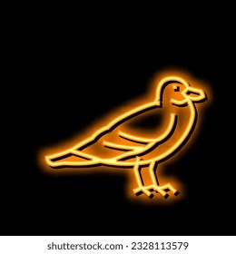 seagull bird neon light sign vector. seagull bird illustration