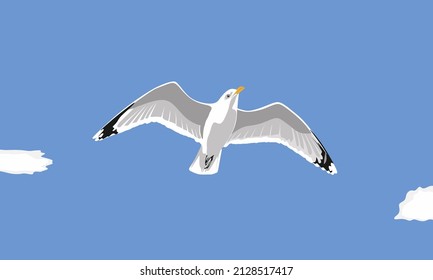 
Ave de gaviota en el cielo azul con vector de nubes. Icono vector de ave de gaviota. Icono vectorial de caricatura aislado en ave de gaviota. Ilustración realista de la gaviota