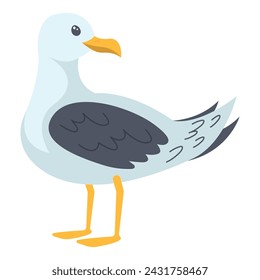 Seagull bird on a white background