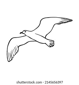 Un pájaro de gaviota sobre un fondo blanco. Ilustración del doodle vectorial.