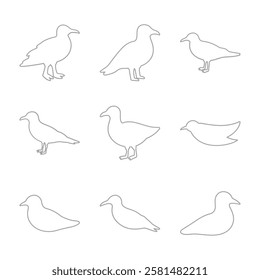 Seagull Bird Outline Icon Set