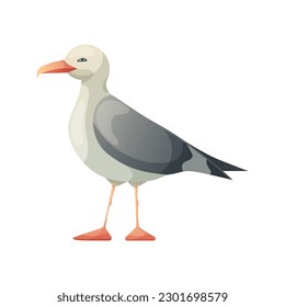 Seagull bird. Resting curious standing sea bird. Vector illustration isolated on white.