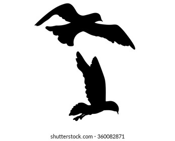 Seagull Bird Silhouette