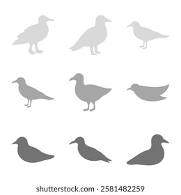 Seagull Bird Silhouette Icon Set