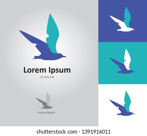 seagull, bird silhouette, logo design