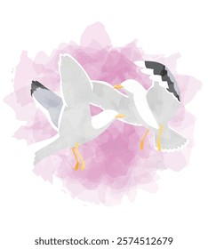 Seagull Bird Valentines Day Animal Symbol of Love Postcard Watercolor Vector Illustration