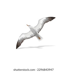 Seagull BIRD VECTOR ART DESIGN ILLUSTRATION