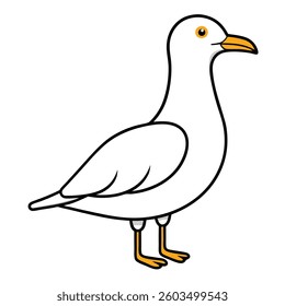 A seagull bird vector illustration
