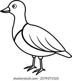 Seagull Bird Vector Illustration for Kids Coloring Book