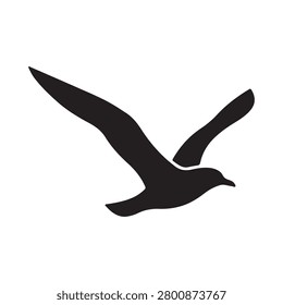 Seagull black glyph icon. Common seabird, ordinary flying animal. Beaches and coastlines inhabitant. Zoology, ornithology silhouette symbol on white space. Sea mew, gull vector isolated illustration
