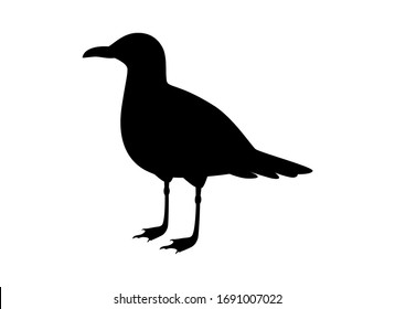 Seagull black silhouette icon vector. Seagull isolated on a white backgound. Standing seagull clip art. Gull silhouette icon