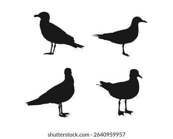 Seagull black silhouette icon vector. Standing seagull clip art. Set of vector silhouettes of a seagull in flight, black color, isolated on a white background.