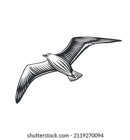 Gaviota. Ilustración en blanco y negro. 