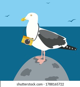 Gaviota con una cámara. Ilustración plana con fondo azul aislado. Adecuado para la impresión y el uso de la web.