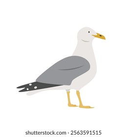 Seagull cartoon clipart. Seagull or common gull vector illustration in flat style. Hand-drawn wild animal concept