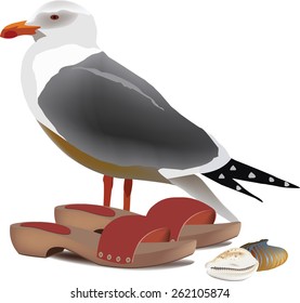 Seagull clogs and shells vacation relaxation sea