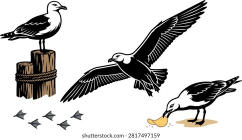 Seagull Coastal Wildlife Vector Set Featuring Flying Seagull Bird Perched on Wood Piling and Eating Potato Chips with Footprints Pattern.eps