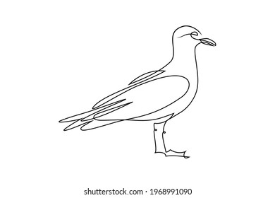 Seagull in continuous line art drawing style. Gull bird standing black linear sketch isolated on white background. Vector illustration