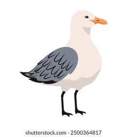 seagull cute bird cartoon isolated