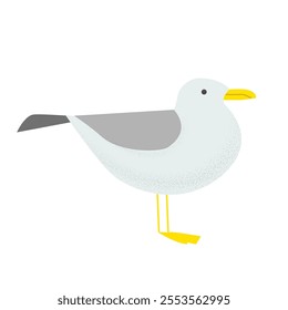 Seagull Facing Horizontal Marine Style Material White Background