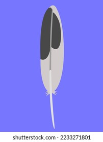 Seagull feather in flat style. Beautiful design element.