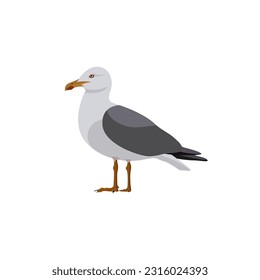 seagull flat illustration icon. bird illustration