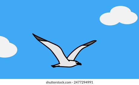 A seagull flies against a background of blue sky and clouds
