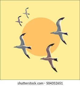 Seagull in flight against the sky with a silhouette of the sun. Seabird Group. Stock vector image.