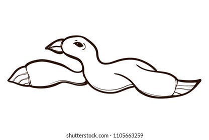 Seagull in flight isolated on white. Vector illustration of sea creatures in colored sketch style. Hand drawn. Coloring book for adults