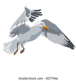 Seagull in flight. Simple vector.