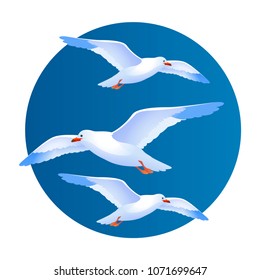 Seagull in flight. Vector image of a seagull on a blue background.