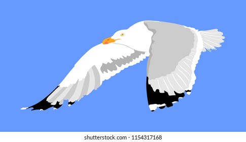 Seagull fly on blue sky background vector illustration, sea or ocean bird with spread wings. Bird fly silhouette.