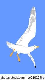 Seagull fly on blue sky background vector illustration, sea or ocean bird with spread wings. Bird fly silhouette.