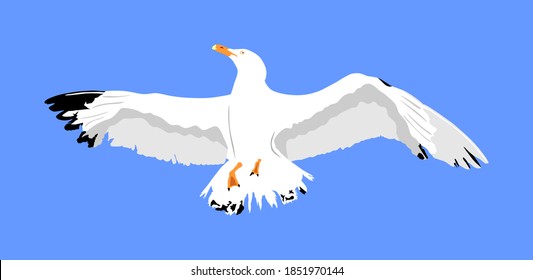La gaviota vuela sobre el fondo azul del cielo ilustración vectorial, ave marina o oceánica con alas extendidas. Silhouette de la mosca de las aves.