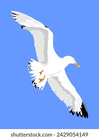 Seagull fly on blue sky background vector illustration, sea or ocean bird with spread wings. Bird fly silhouette.