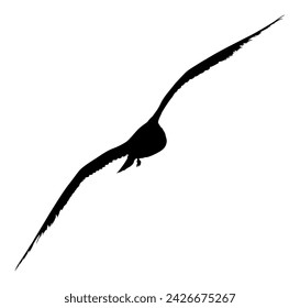 Ilustración de la silueta del vector de la mosca de la gaviota aislada sobre fondo blanco. Las alas se extienden. Gaviota mosca en forma de ave. Símbolo de libertad. Cazador de peces volando.