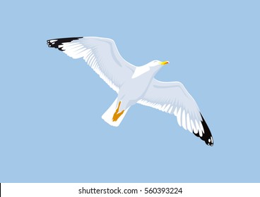 Seagull flying against lightblue sky - vector illustration