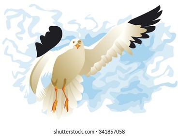 seagull flying front with big wings
