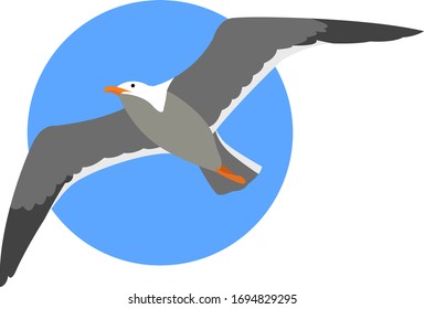 Seagull flying, illustration, vector on white background