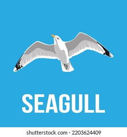 Seagull flying on blue background. Seagull bird logo design isolated. Seagull illustration in minimal style. vector eps10