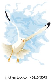 seagull flying on face