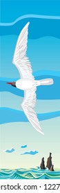 seagull flying over the sea